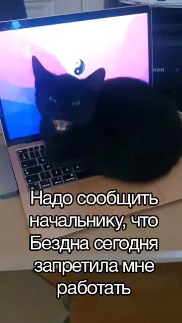 Смешная картинка №740438