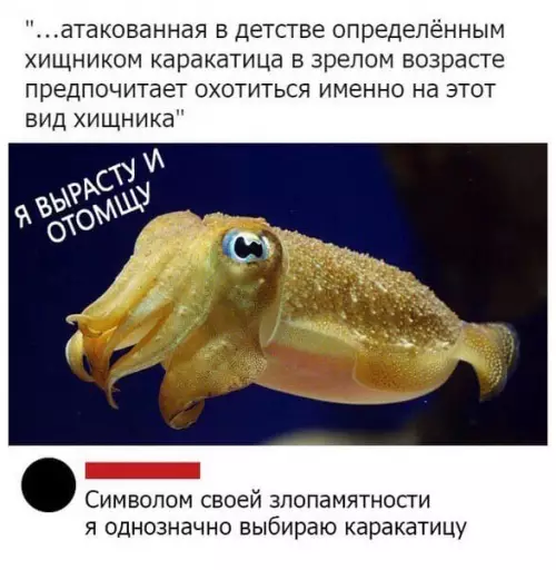 Смешная картинка №503944 Точнее не придумаешь.
