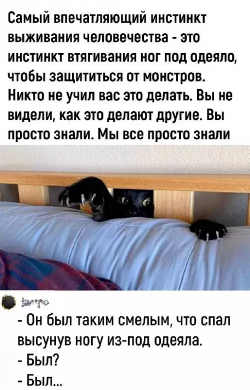 Смешная картинка №714206