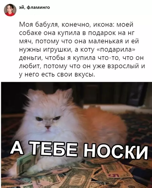 Смешная картинка №323277