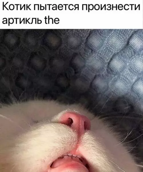 Смешная картинка №762903
