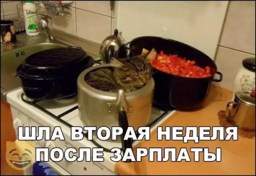Смешная картинка №410533 #приколы #картинки #мемы ?
