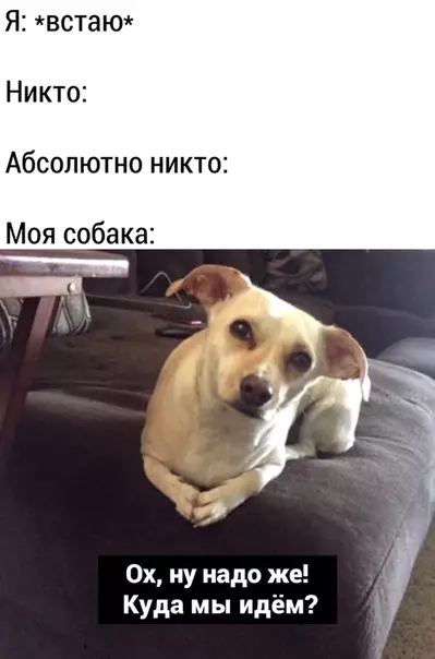 Смешная картинка №484280