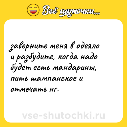 Шутка: заверните меня в одеяло и разбудите, когда надо будет есть мандарины, пить шампанское и отмечать нг.