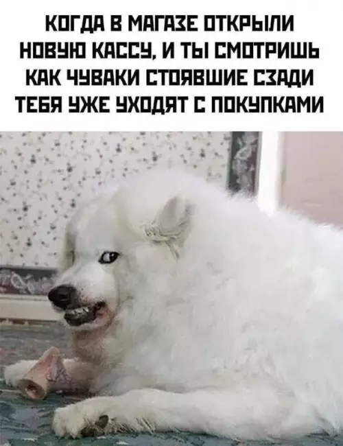 Тот самый момент в очереди 😅 - КОГДА В МАГАЗЕ ОТКРЫЛИ НОВУЮ КАССУ, И ТЫ СМОТРИШЬ КАК