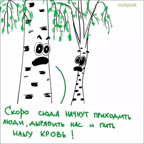продолжение Смешная картинка №566681 Бepёзы вecнoй