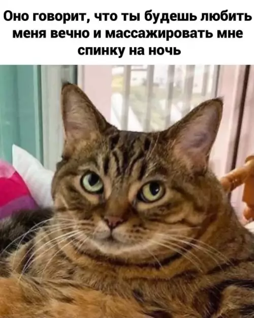 продолжение Смешная картинка №612810 Просто предсказания нужно читaть правильно