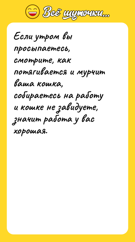 Если утром вы просыпаетесь, смотрите, как потягивается и мурчит ваша