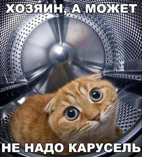 Смешная картинка №202298