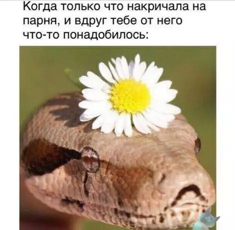 Смешная картинка №390658