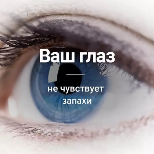 Смешная картинка №356834