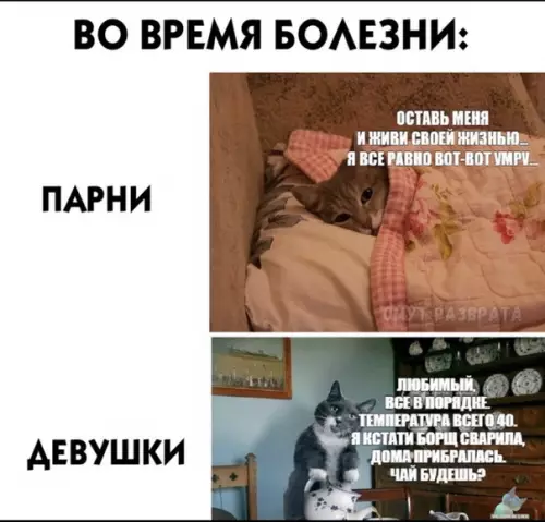 Смешная картинка №438298