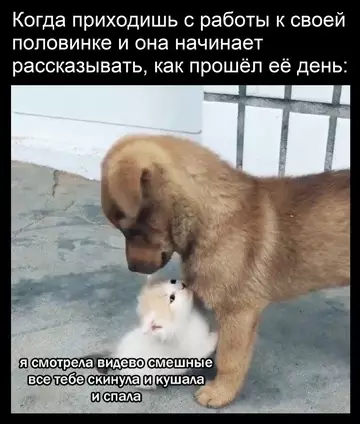 Смешная картинка №765394