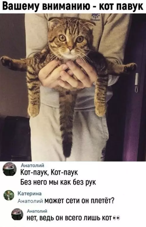 Смешная картинка №645424