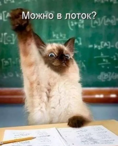 Смешная картинка №810433