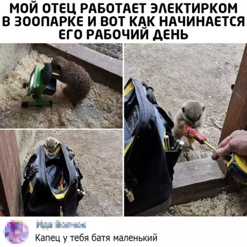 Смешная картинка №507765