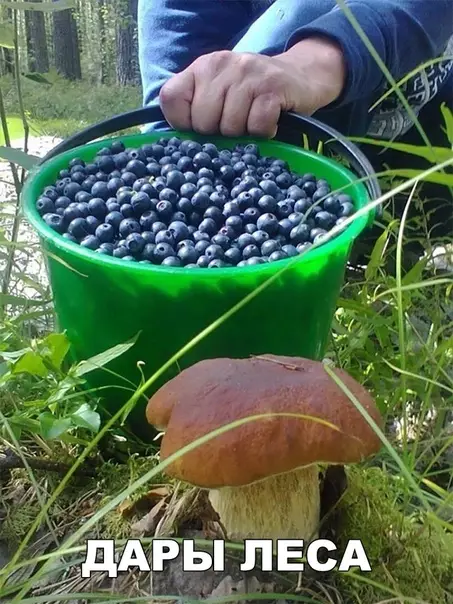 Смешная картинка №285191