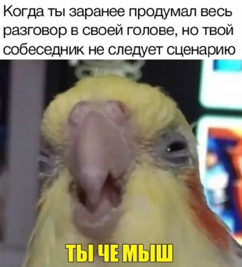Смешная картинка №722537