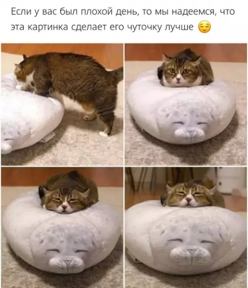 Смешная картинка №496527 :3