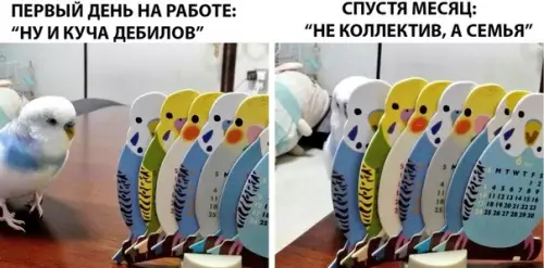 Смешная картинка №288370