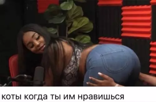 Смешная картинка №738943 Коты