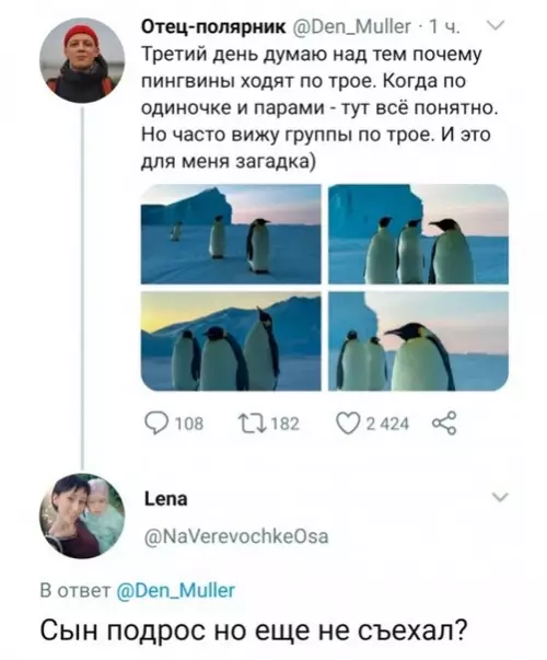 Смешная картинка №597624 Baш вapиaнт?