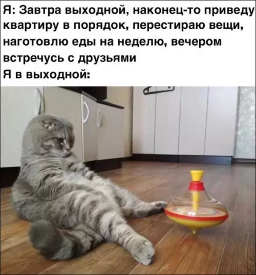 Смешная картинка №312835 Кто узнал себя??
