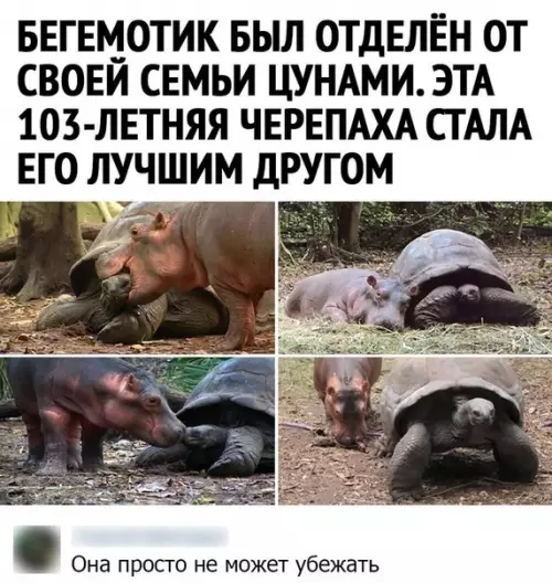 Смешная картинка №519483