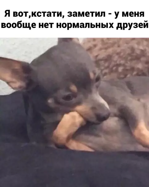 Смешная картинка №538062