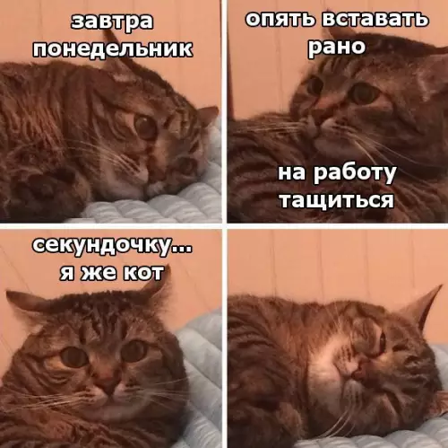 Смешная картинка №228278