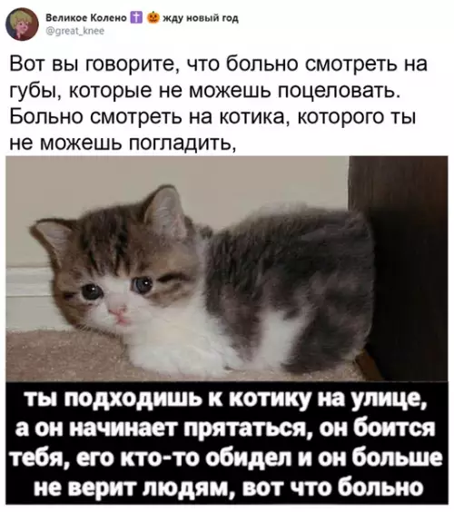 Смешная картинка №534061 Это самое больное, что можно почувствовать?