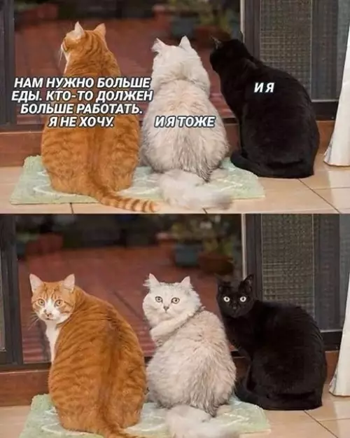 Смешная картинка №645198