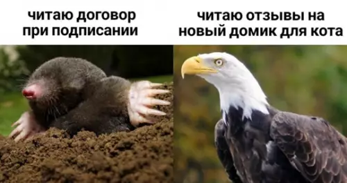 Смешная картинка №765897