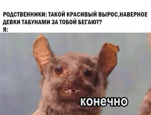 Смешная картинка №364627