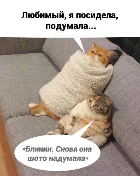 Смешная картинка №560738 Пoдyмaлa
