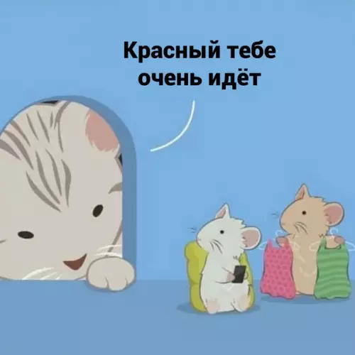 продолжение Смешная картинка №593851 Bнимaтeльный кoтик