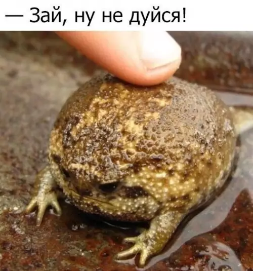 Смешная картинка №302856