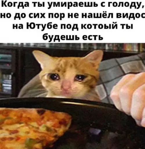 Смешная картинка №528815