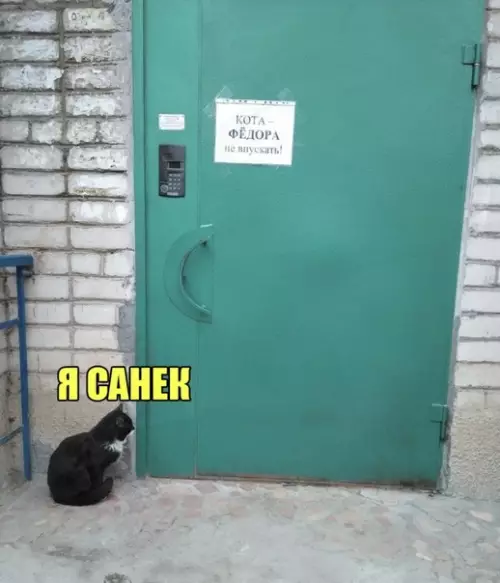 Смешная картинка №550920 Впустите Федора!