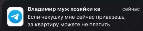 Схема аренды мечты найдена! 😂 - Владимир муж хозяйки кв Если чекушку мне сейчас привезешь, за