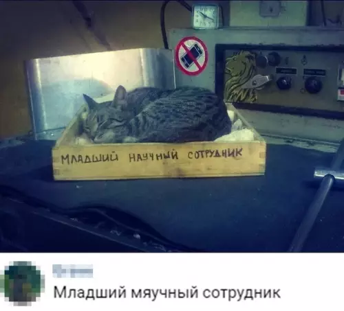 Смешная картинка №354554