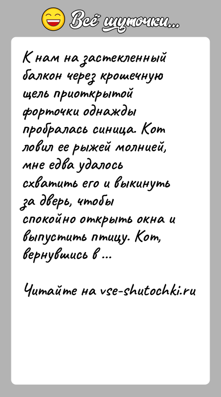 История: К нам на застекленный балкон через крошечную щель приоткрытой форточки однажды пробралась синица. Кот ловил ее рыжей молнией, мне едва