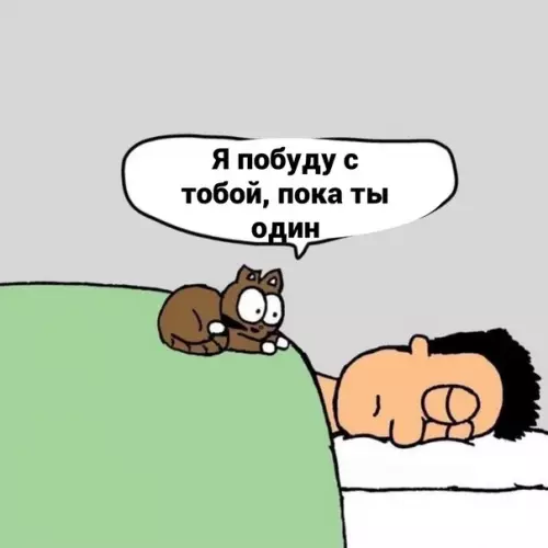продолжение Смешная картинка №591862 И никaк инaчe