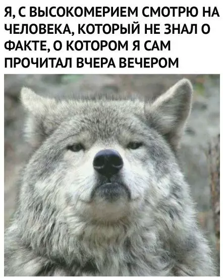 Смешная картинка №657961