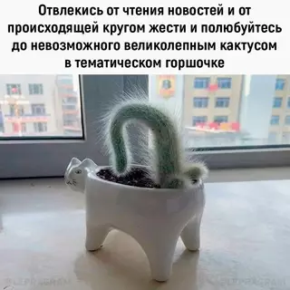 Смешная картинка №659451 :3