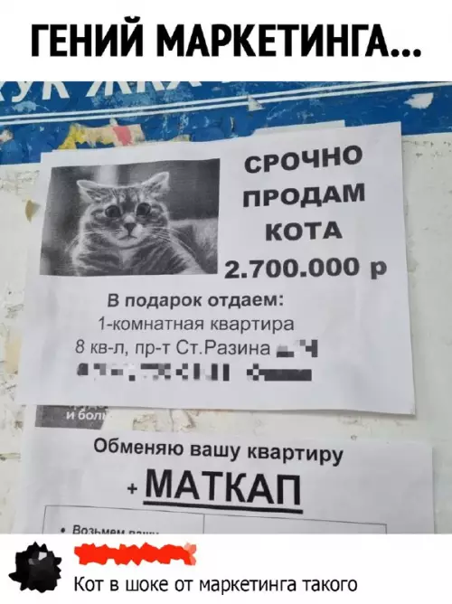 Смешная картинка №686735 Объявления 