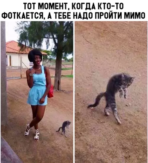 Смешная картинка №307192