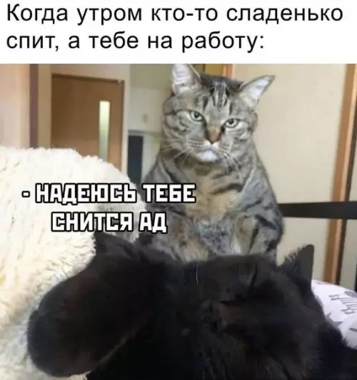 Смешная картинка №602372 Доброе утро
