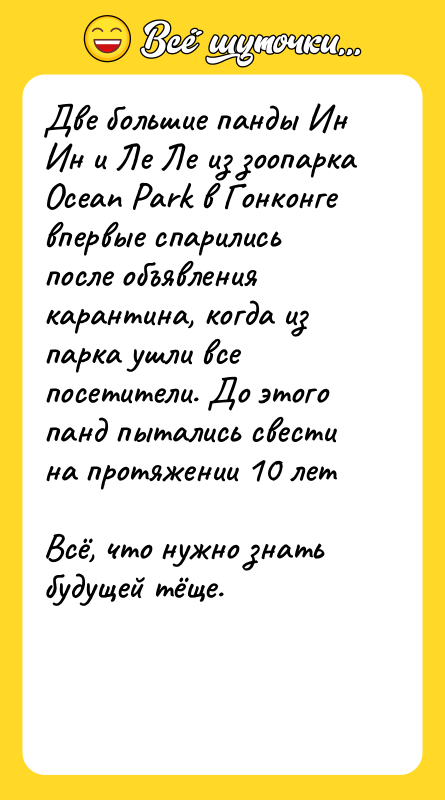 Две большие панды Ин Ин и Ле Ле из зоопарка