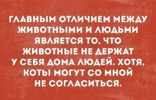 Смешная картинка №332235
